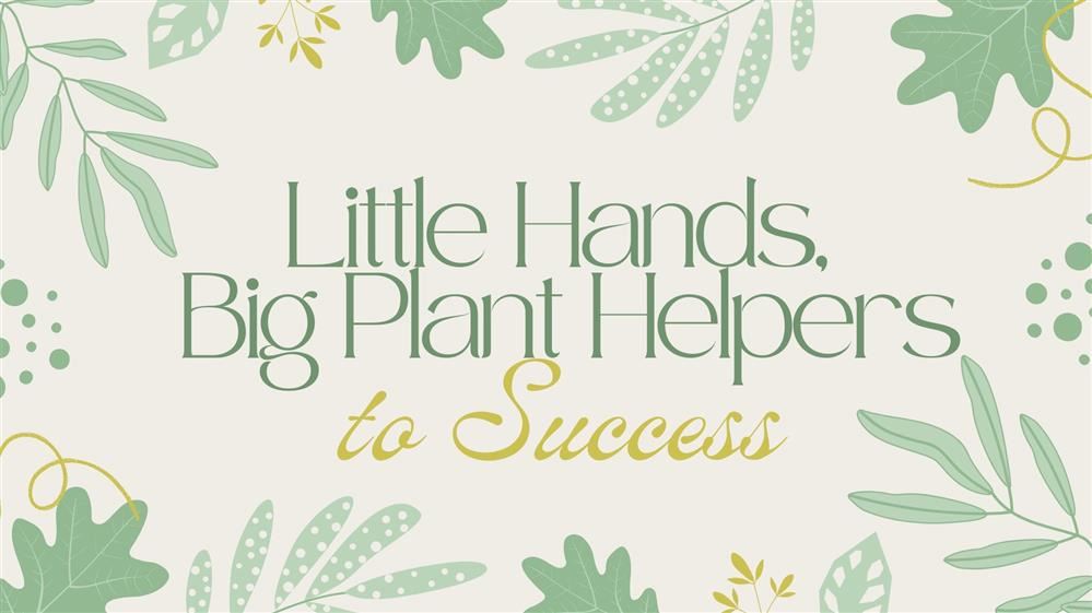  Words on a plant graphic background
